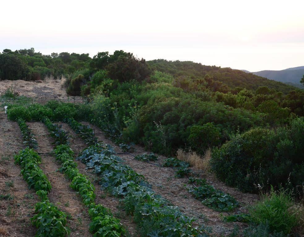 Agriturismo Costa Verde Arbus Zewnętrze zdjęcie